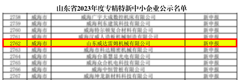 雷姆-专精特新 雷姆-专精特新